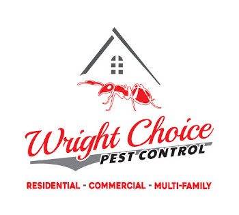 Effective Pest Control Solutions | Wright Choice Pest Control, LLC