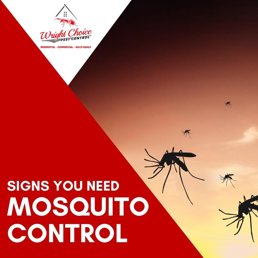 Signs You Need Mosquito Control