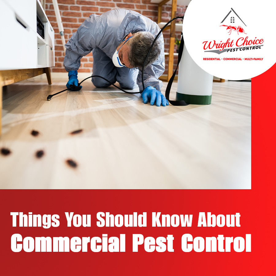 Things You Should Know About Commercial Pest Control | Wright Choice ...
