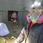 Exterminator