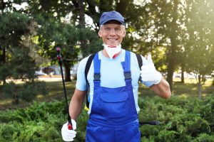What to do Before the Pest Control Service Arrives