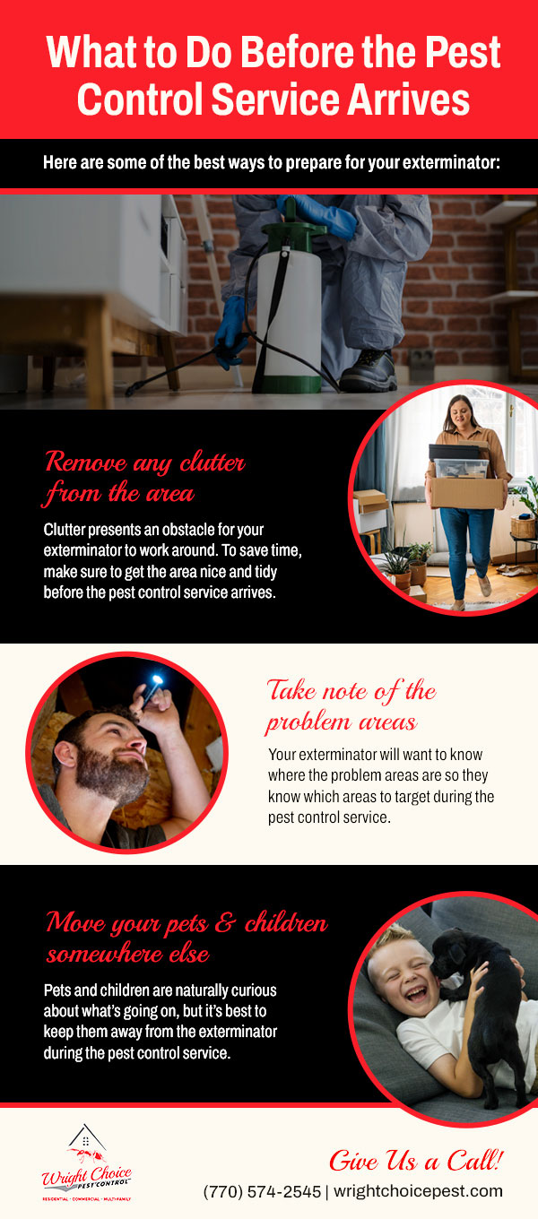 What to do Before the Pest Control Service Arrives