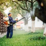 Pest Control Service in Tallapoosa, Georgia
