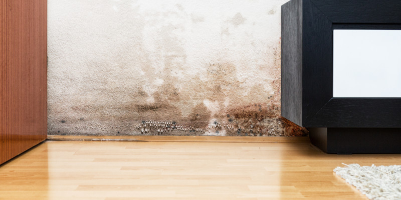 Water & Mold Damage