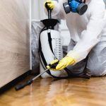 Crawlspace Moisture Control in Tallapoosa, Georgia