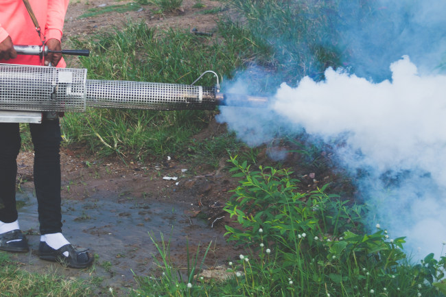 Mosquito Removal, Tallapoosa, GA | Wright Choice Pest Control, LLC - Mosquito Removal Services