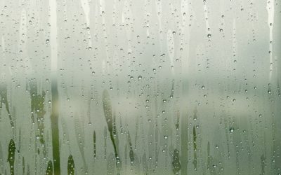 3 Signs You Need Better Attic Moisture Control