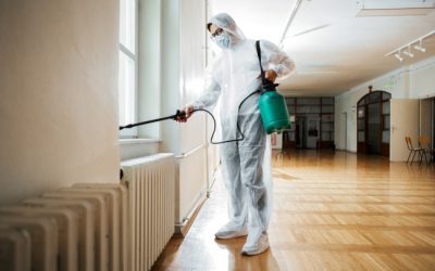 Benefits of Using a Professional Pest Control Service