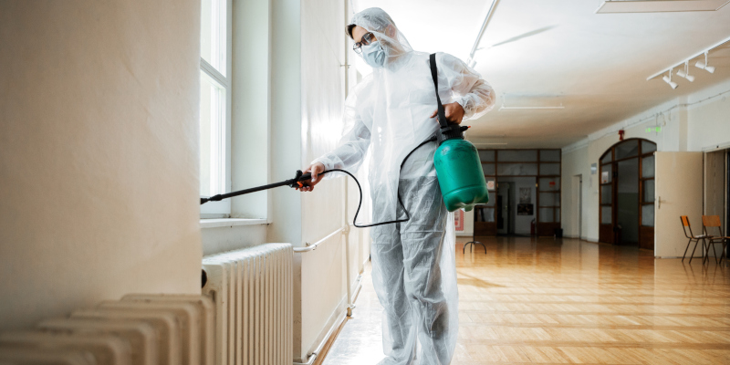 Benefits of Using a Professional Pest Control Service