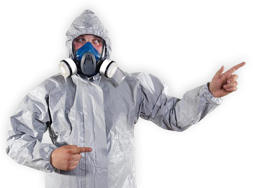 pest control